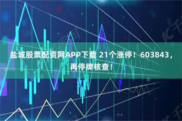盐城股票配资网APP下载 21个涨停！603843，再停牌核查！