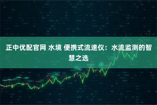 正中优配官网 水境 便携式流速仪：水流监测的智慧之选