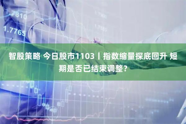 智股策略 今日股市1103丨指数缩量探底回升 短期是否已结束调整？