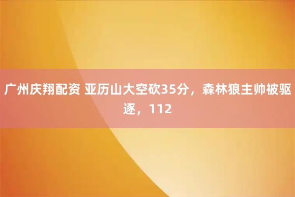广州庆翔配资 亚历山大空砍35分,森林狼主帅被驱逐,112